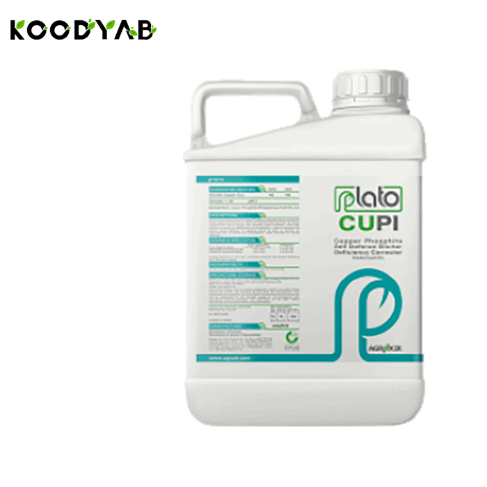 کود کوپی5 لیتری پلاتو