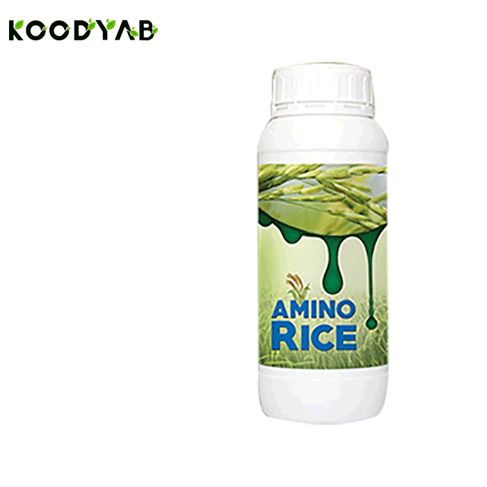 کود آمینو رایس دان نهال