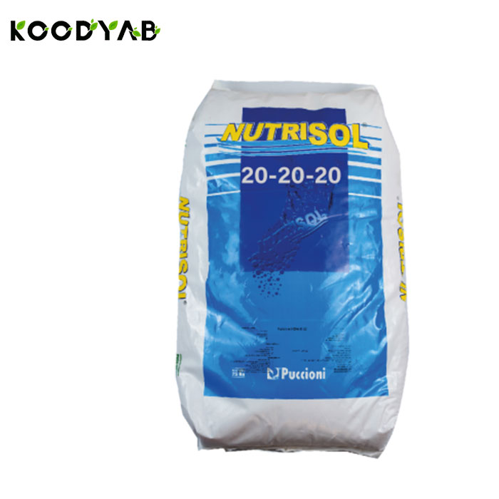 کود نوتریسل 20 20 20  پوچینی