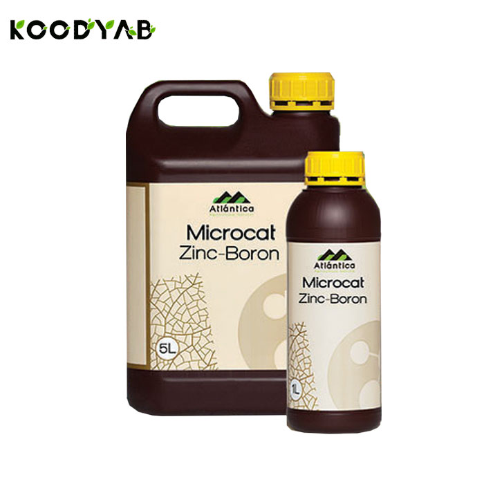 کود میکروکت زینک بر آتلانتیکا