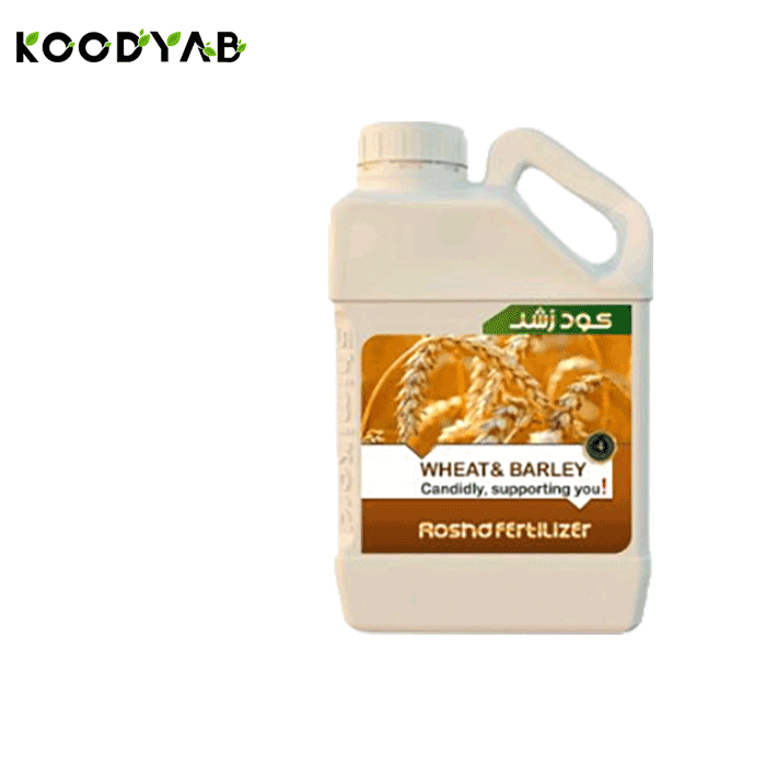 کود گندم جو رشد