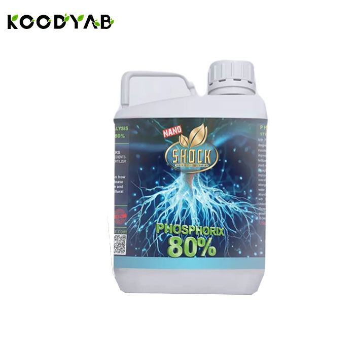 کود فسفر بالا 80 درصد شوک 5 لیتری شوک
