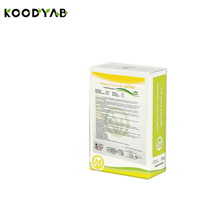 کود جیبماکس پروسیسا