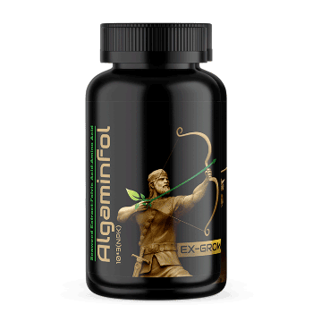 کود آلگامین فول سبز آذر کاسپین