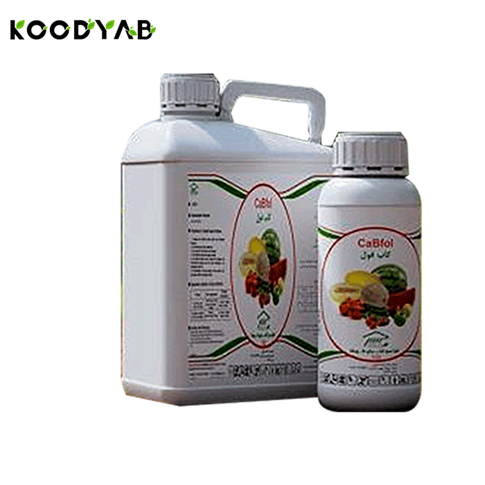 کود کاب فول کیاسبز