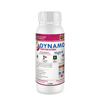 کود داینامو سان رز