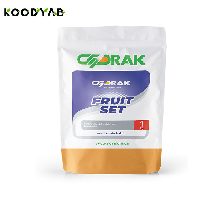 کود فروت ست نوین دراک