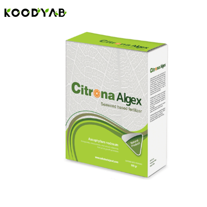 کود آلژکس سیترونا 