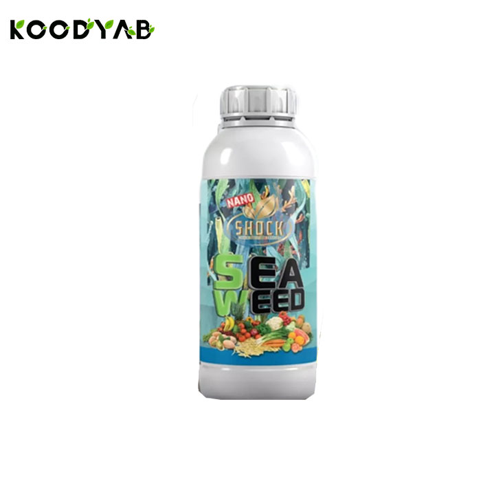 کود جلبک دریایی مایع شوک 1 لیتری  شوک