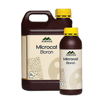 کود میکروکت بر آتلانتیکا