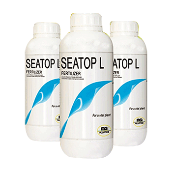 کود سی تاپ آی ام جی