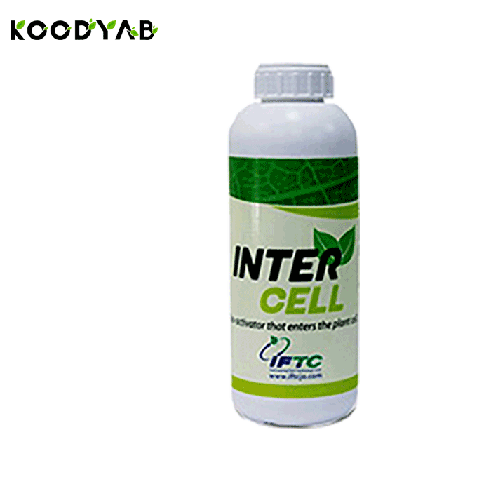 کود اینترسل آی اف تی سی