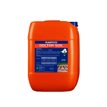 کود دکتر سویل پلنت فید