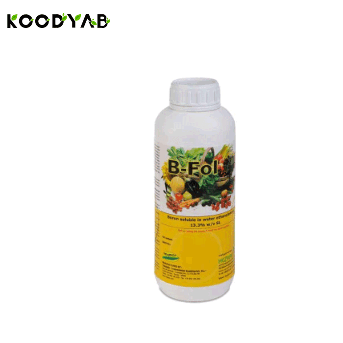 کود بی فول هزاره 