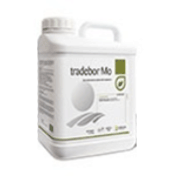 کود ترید بر مولیبدن تریدکورپ