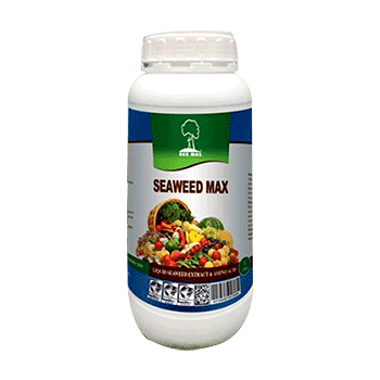 کود جلبک دریایی به ماکس