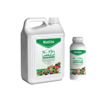 کود اس ای فلکس ماتیلدا