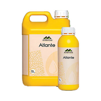 کود آتلانته آتلانتیکا