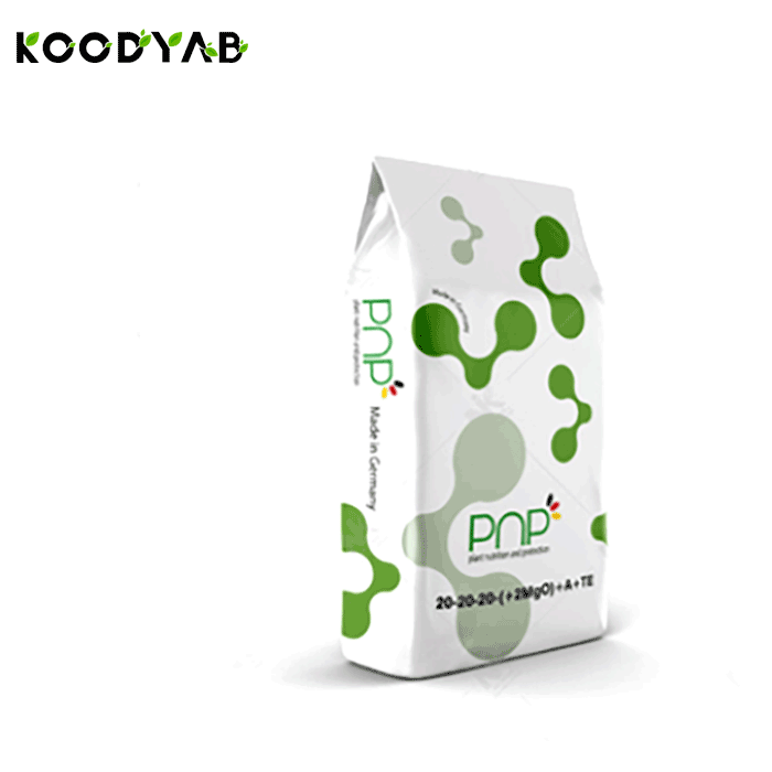 کود 20 20 20 پی ان پی