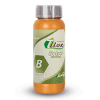 کود بر تیلوکس