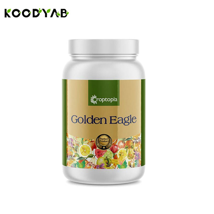 کود طلایی ایگل راپتوپیا