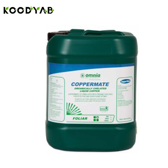 کود مس میت امنیا