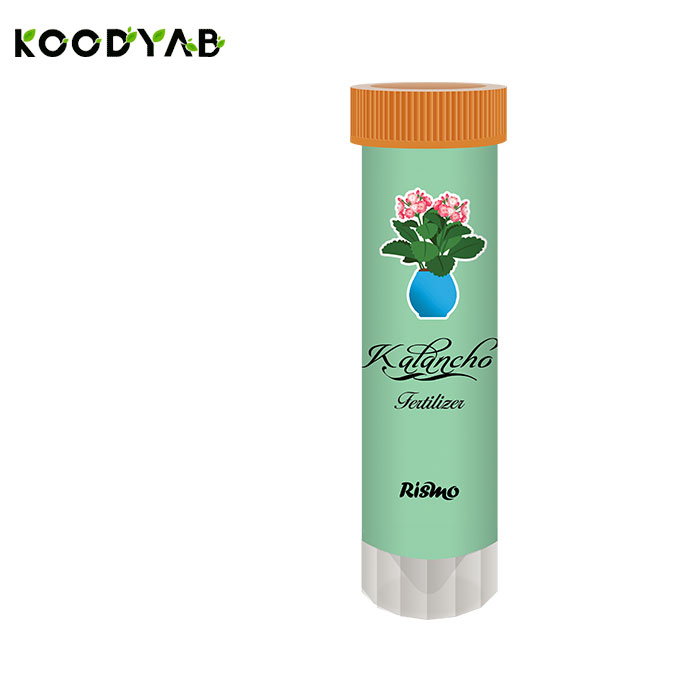 کود کالانکو ریسمو