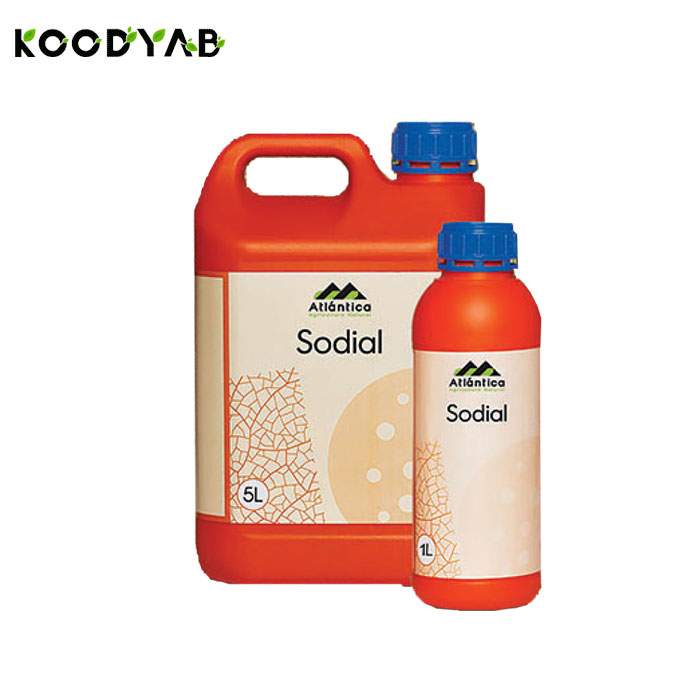 کود سودیال آتلانتیکا