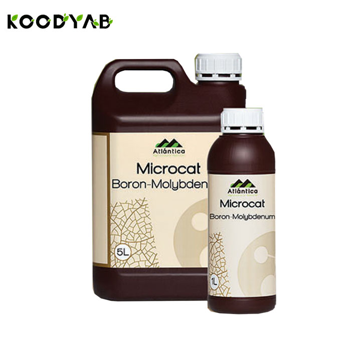 کود میکروکت بر مولیبدن آتلانتیکا