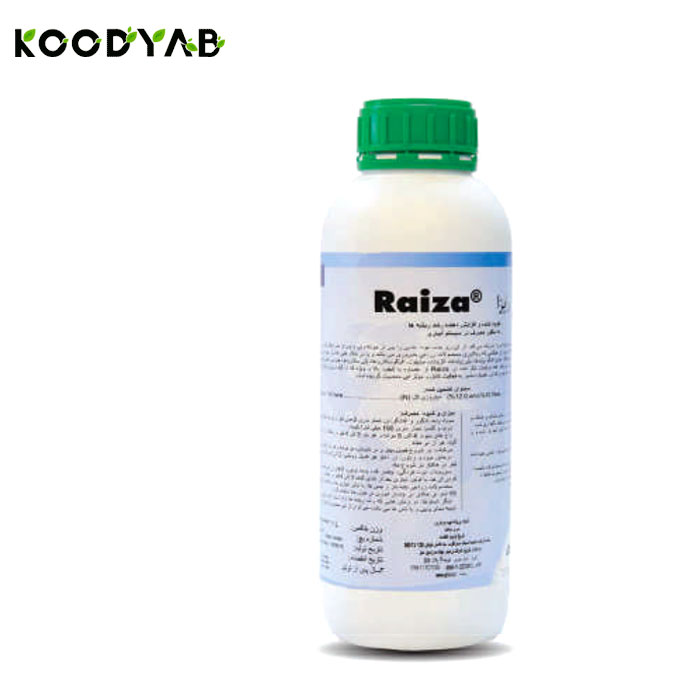 کود رایزا دایمسا