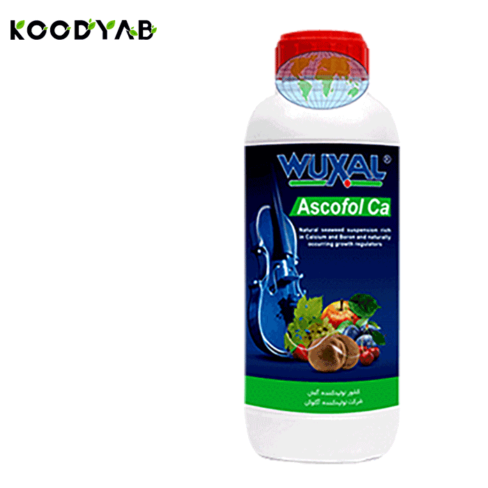 کود آسکوفول کلسیم وکسال