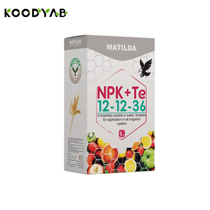 کود 36 12 12 ماتیلدا