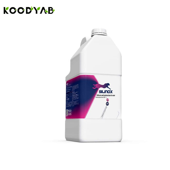 کود سیلینوکس فرتینوکس