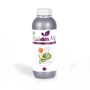 کود  منیزیم 6 پرهام