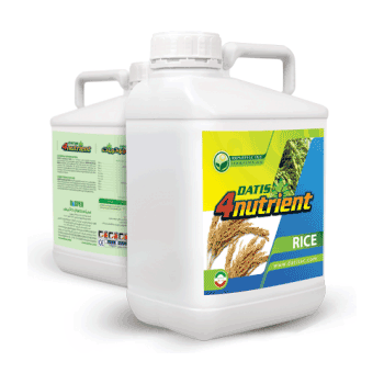 کود فورنوترینت برنج داتیس