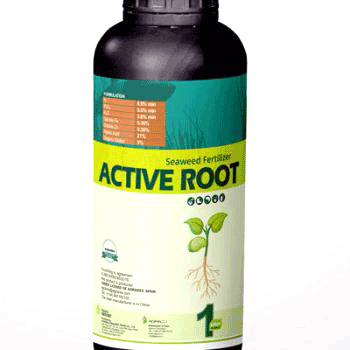 کود ریشه زا اکتیو کرسنت