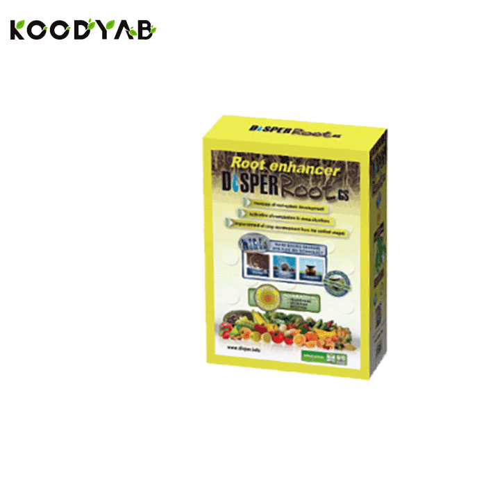 کود روت جی اس دیسپر