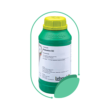 کود روبوستوس اس سی لبوسل