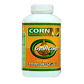 کود قطره طلا ذرت گیاه