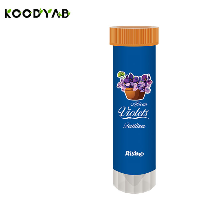 کود بنفشه آفریقایی ریسمو