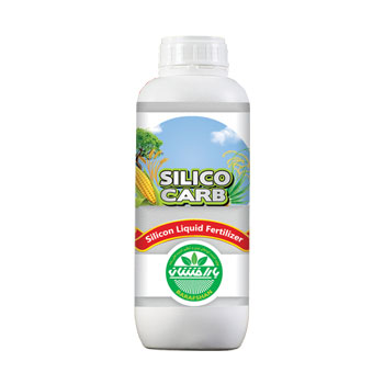 کود سیلیکوکارب بارافشان