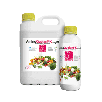 کود آمینو کوالانت پتاسیم بیوبریکا