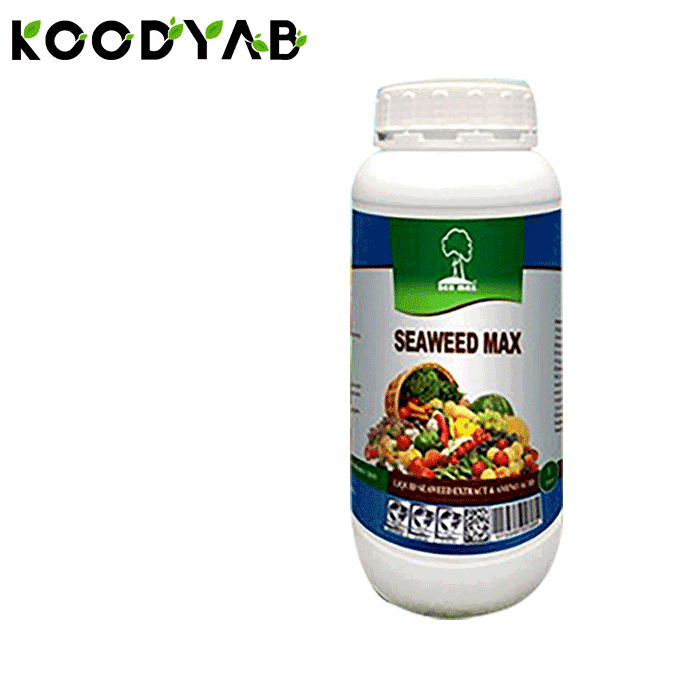 کود جلبک دریایی به ماکس