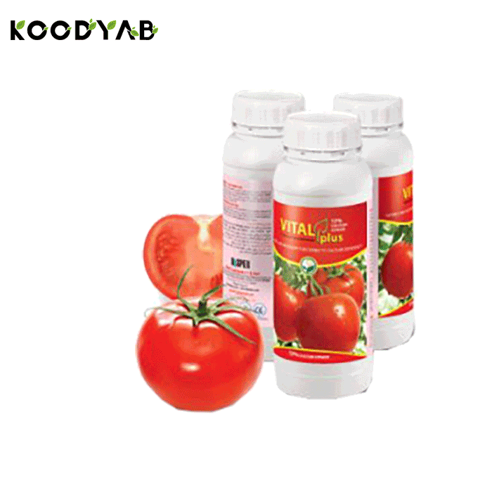 کود ویتال پلاس کلسیم داتیس