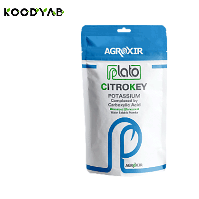 کود سیتروکی پلاتو