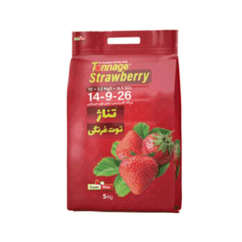 کود توت فرنگی 26 09 14 سوپرمکس