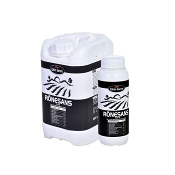 کود رنسانس اکین تاریم