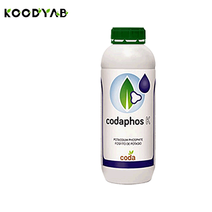 کود فوس پتاسیم کدا