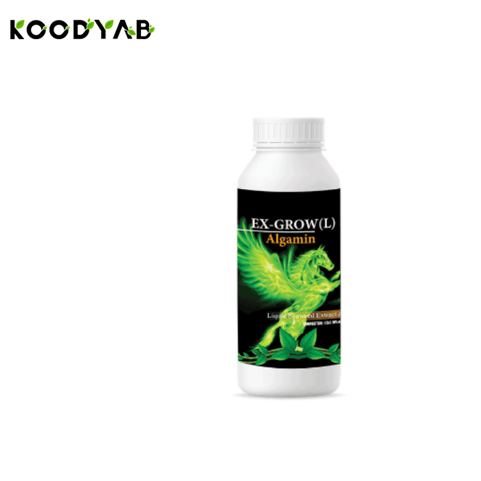 کود آلگامین ال 2 سبز آذر کاسپین