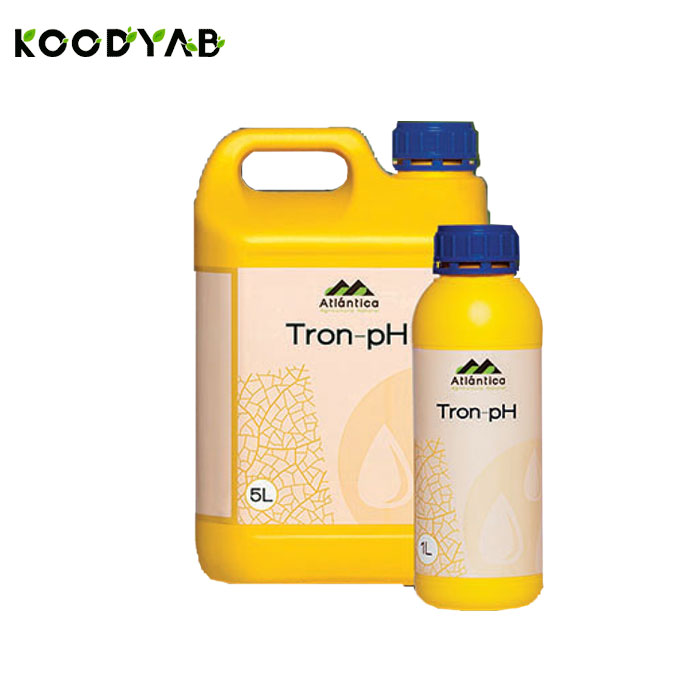 کود ترون پی اچ آتلانتیکا